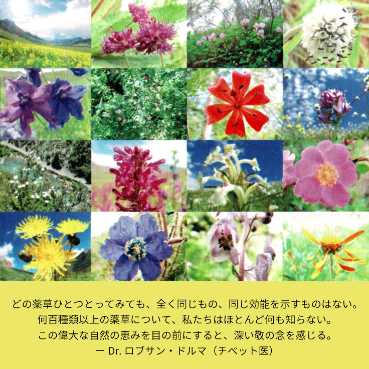 チベット除障香 五大元素ので健康に整えるチベット香を詳しく解説 地・水・火・風・空